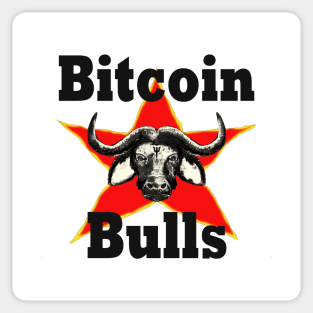 Bitcoin Bull Run Crypto Currency Sticker